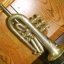 The Development of the Piccolo Trumpet 이미지