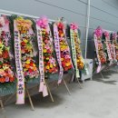 옻나라주 이미지