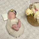 맘스밀리 산후조리원 상암점 네이버블로그