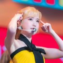 큐리어스 Daum카페