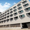 브라운도트1 이미지