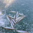 장전 숨 | 청송 빙어 낚시 포인트 장전저수지