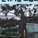 수원-0296 이미지