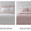레노마홈코지네스트일산점