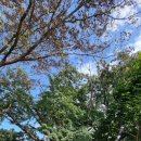 합천천로 이미지