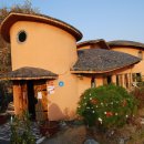 다원칼국수 이미지