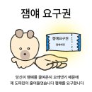 고향슈퍼 | 차백도 망고 포멜로 사고와 슈퍼 아보카도 망고 사고 솔직 후기