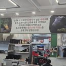 대가한방흑염소 이미지
