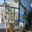 써머레인 | 한남동 브런치카페 Summer lane 써머레인 웨이팅 후기 발렛 주차