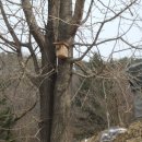 한강시민공원[양정-3] 이미지