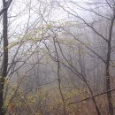 궁내중 삼거리(백두동성 앞) | 백두대간 종주(44) - 봉황산