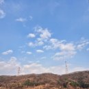 솔향기흙내음 이미지