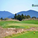 경상목장 | 제주도 36홀 골프장 부킹 색다른 재미를 주는 제주 사이프러스cc 예약 후기