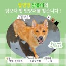 별뚜루 이미지