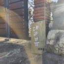 제주촌캉스 | 서귀포 가족여행 숙소 추천 : 산방산 뷰와 시네룸이 참 좋았던 독채 펜션 달뷰 스테이