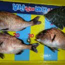 부산실내바다낚시터 이미지