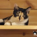 호텔가온 이미지