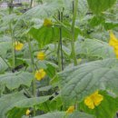 종희농장 이미지