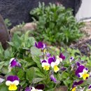 쉼터하우스 이미지