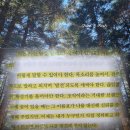 더나눔트레이딩 | 누구나 혼자 서는 순간이 온다 책 | 김나이 책 후기 | 30년 만에 다시 쓰는 이력서의 무게 추천 리뷰...