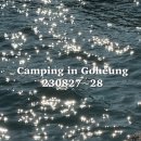 23.08.17~29.(camping in GOHEUNG)