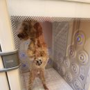 다산목욕탕 이미지