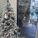 청담메이크업 ‘오보테’ 내돈내산 웨딩촬영용 헤메후기