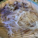 해성수산 이미지