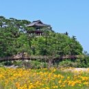 종합운동장역 5번 출구 앞 이미지