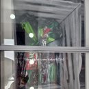 전주 안경점 추천 지니스안경 평화사거리점에서 니콘 Bluv Plus 기능성 렌즈 맞춘 솔직 후기