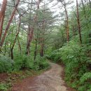 외씨버선길(치유의길) 이미지