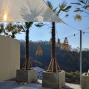 코스타리몬(costa limon) 이미지