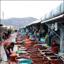 삼척수족관