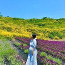 달아항 앞 | 2025년 5월 / 2박 3일 통영&amp;거제 결혼기념일 여행(대전 경유) / 거제 맛집&amp;카페 추천