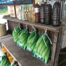 아홉사리로 이미지