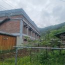 아성축사 Daum카페