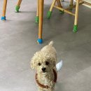 (주)코리아세븐부천원미으뜸점 | 여름 ㅋ