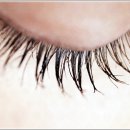 모다브로우 이미지