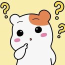 담양숯불돼지갈비 이미지