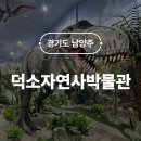 덕소자연사박물관 | 남양주 덕소자연사박물관 서울근교 공룡박물관 입장 할인 주차 후기 실내 아이랑 가볼만한곳