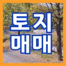 가평부동산펜션공인중개사사무소 이미지