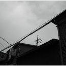 반도사 이미지