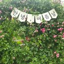 6월 경기도 꽃축제 수국 명소 실시간 방문후기