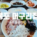 속초집 | 봉포 머구리집 | 속초 물회 내돈내산 식사 후기