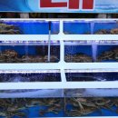 교2통(후진)마을회관 | 강릉 삼척 맛집 든든하게 한끼한 삼척 맛집 추천