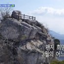 (주)SBS 이미지
