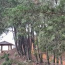 관광예술원 이미지