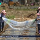 김미자농장 이미지