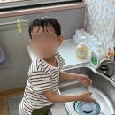 5월은 푸르구나 우리들은 자란다