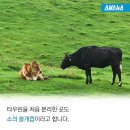 SNS에너지 이미지